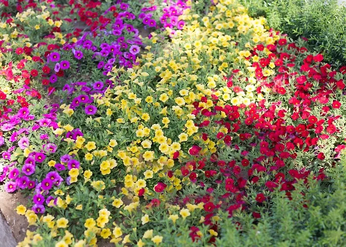 Szálloda L'oasi Di Riaci (adults Only) Santa Domenica