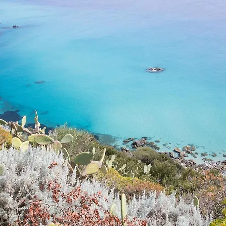 Отель L'oasi Di Riaci (adults Only) Санта-Доменика